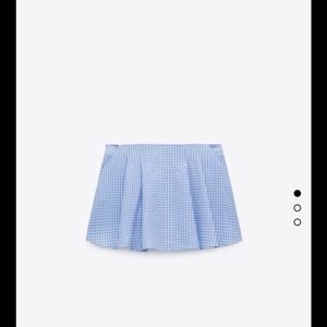 Zara Mini Skirt